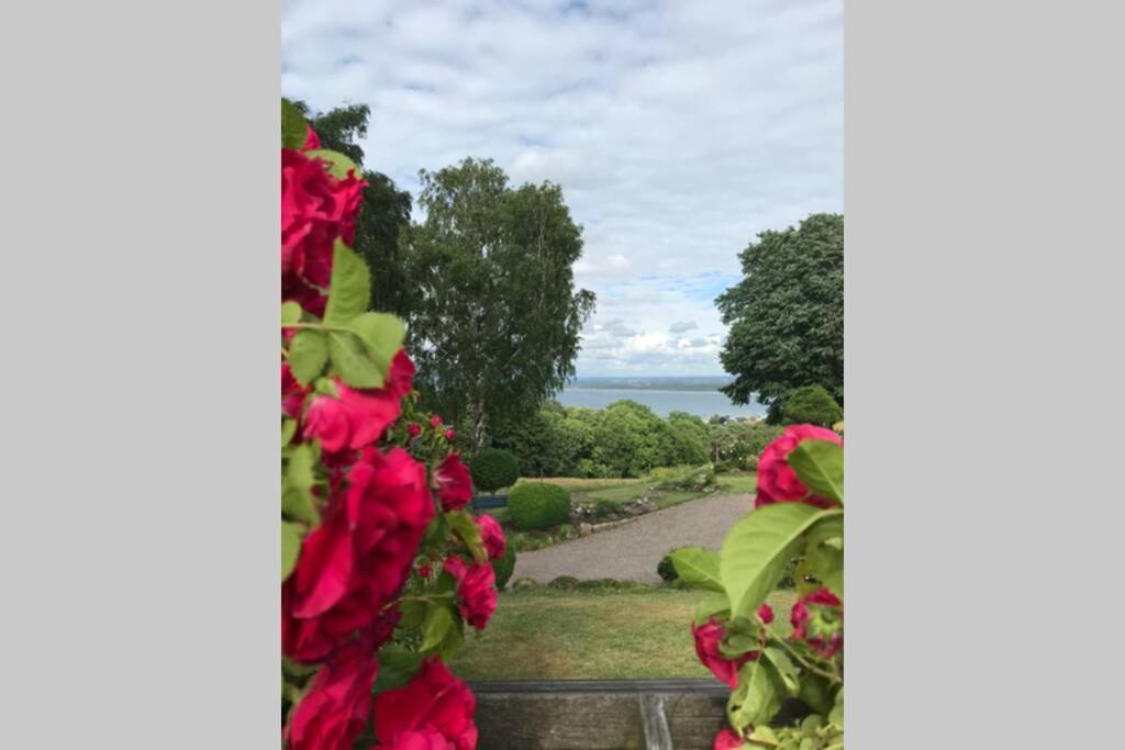 Villa Med Fantastisk Utsikt Båstad Εξωτερικό φωτογραφία